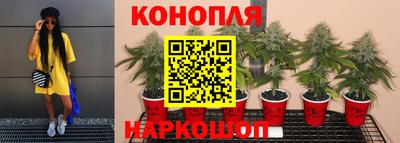 MDMA Жуковский
