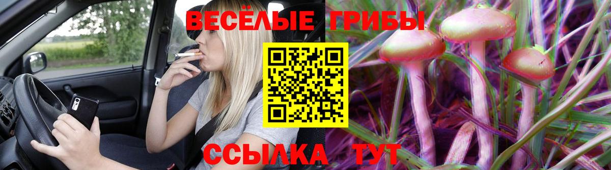 Псилоцибиновые грибы мицелий  Вход с VPN  Нижневартовск 