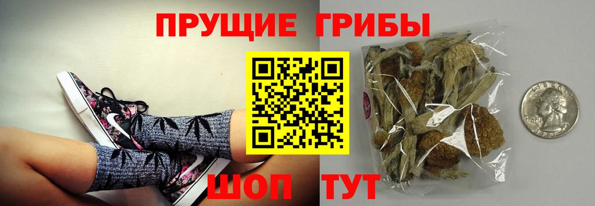 Псилоцибиновые грибы мицелий  Нижневартовск 